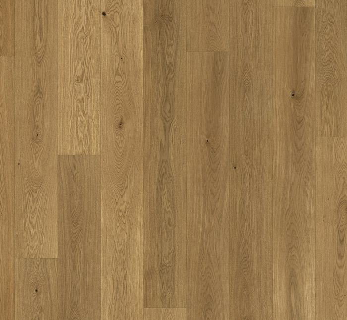1518262_b_front_olmnnluio0ncfa8n.jpg