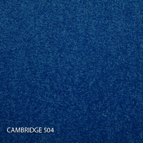 Килимова плитка Modulyss 14 Cambridge 504
