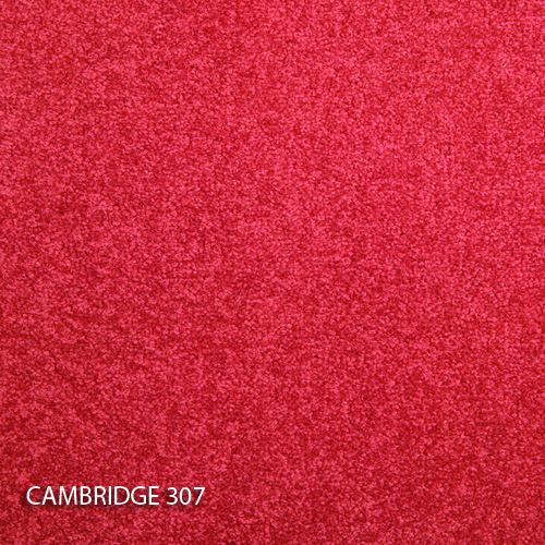 Килимова плитка Modulyss 14 Cambridge 307