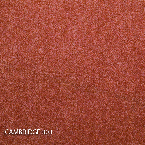 Килимова плитка Modulyss 14 Cambridge 303