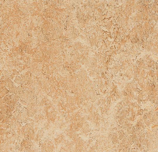 Натуральний лінолеум Forbo Marmoleum Real 2.5 мм 3075 shell