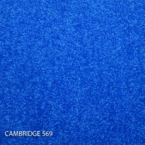 Килимова плитка Modulyss 14 Cambridge 569