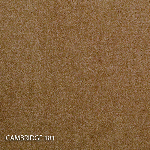 Килимова плитка Modulyss 14 Cambridge 181
