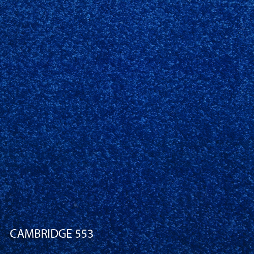 Килимова плитка Modulyss 14 Cambridge 553