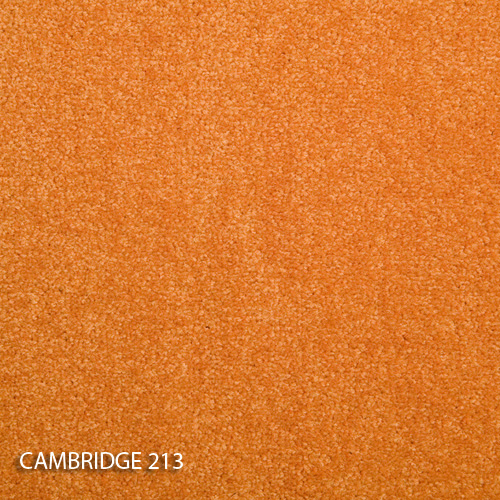 Килимова плитка Modulyss 14 Cambridge 213