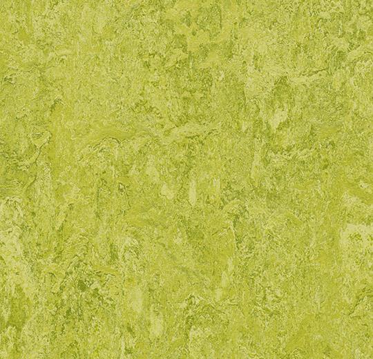 Натуральний лінолеум Forbo Marmoleum Real 2.5 мм 3224 chartreuse