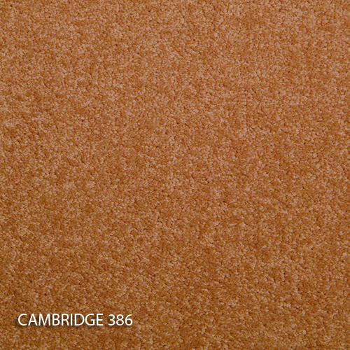 Килимова плитка Modulyss 14 Cambridge 386