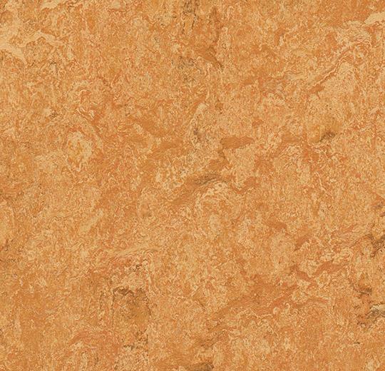 Натуральний лінолеум Forbo Marmoleum Real 2.5 мм 3174 Sahara