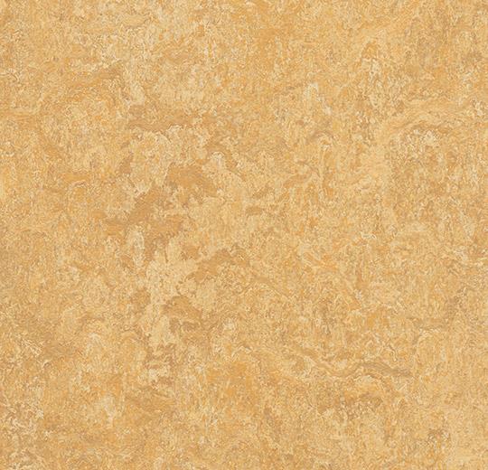 Натуральний лінолеум Forbo Marmoleum Real 2.5 мм 3173 Van Gogh