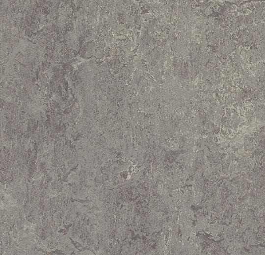 Натуральний лінолеум Forbo Marmoleum Real 2.5 мм 2629 eiger