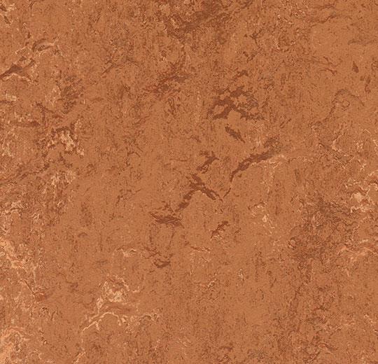 Натуральний лінолеум Forbo Marmoleum Real 2.5 мм 2767 rust