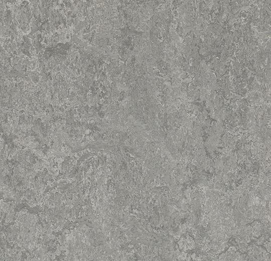 Натуральний лінолеум Forbo Marmoleum Real 2.5 мм 3146 serene grey