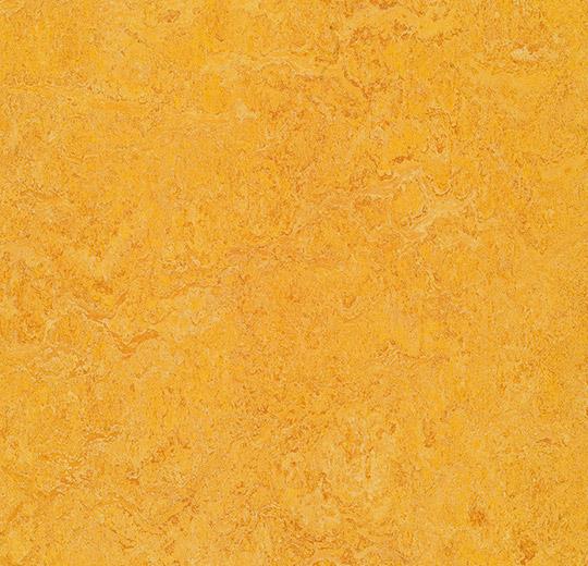 Натуральний лінолеум Forbo Marmoleum Real 2.5 мм 3225 dandelion