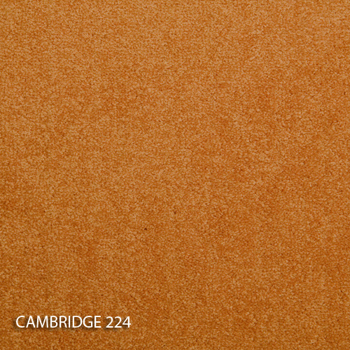 Килимова плитка Modulyss 14 Cambridge 224